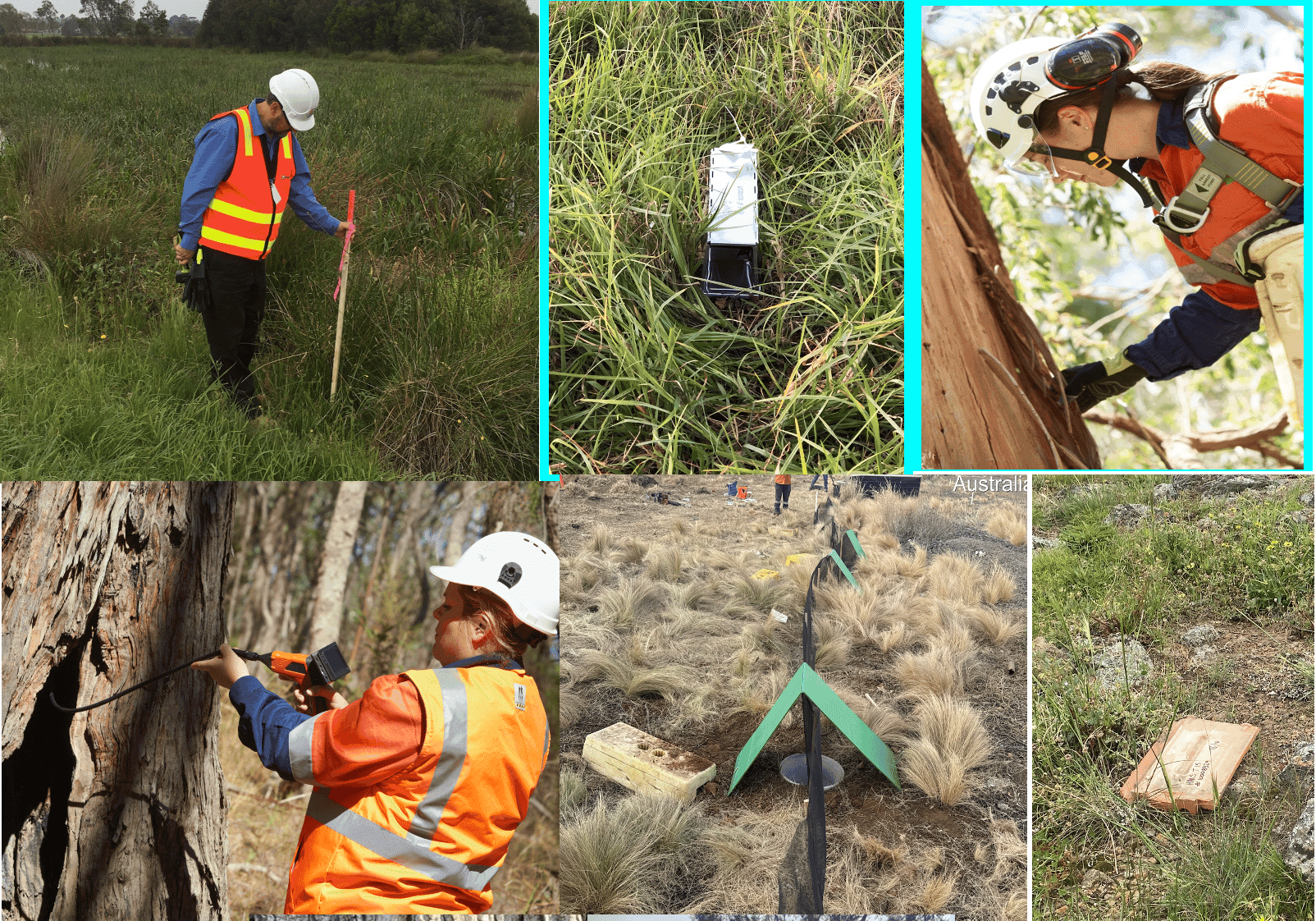 Terrestrial and Aquatic Surveys